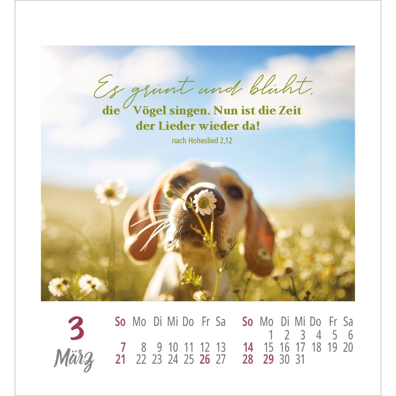 Frei sein & leben 2027 - Aufkleber-Kalender