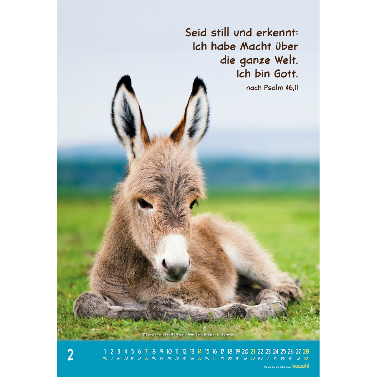 Meine kleine Welt 2027 - Wandkalender