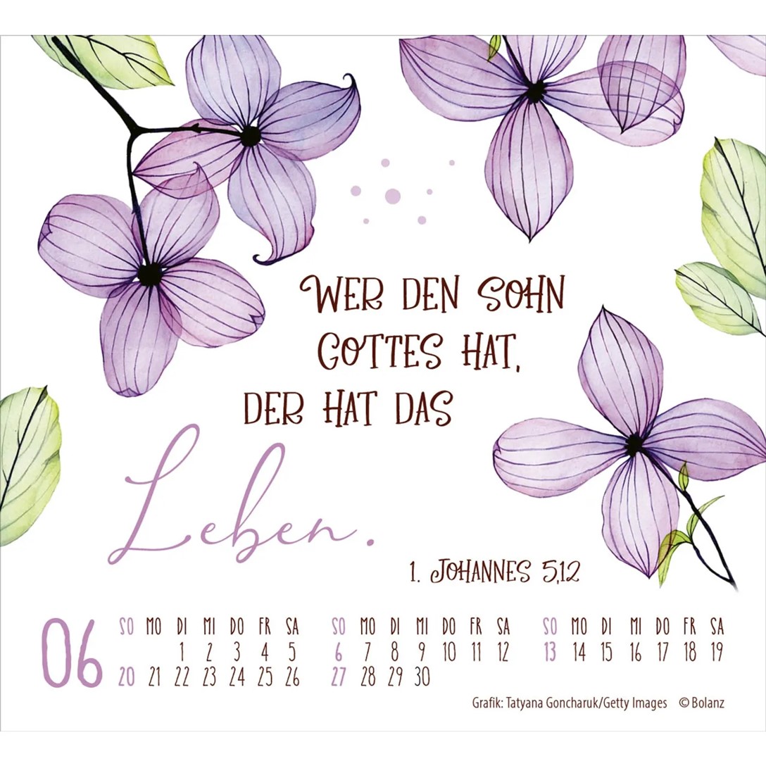 Geschützt in seiner Hand 2027 - Minikalender