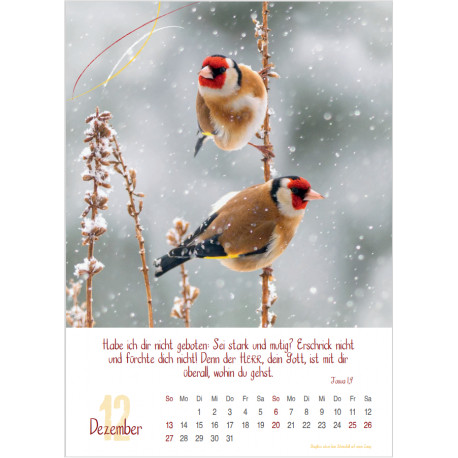 Natur 2026 - Wandkalender