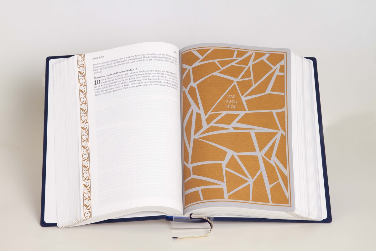 Neues Leben. Die Bibel - Gold/Marineblau