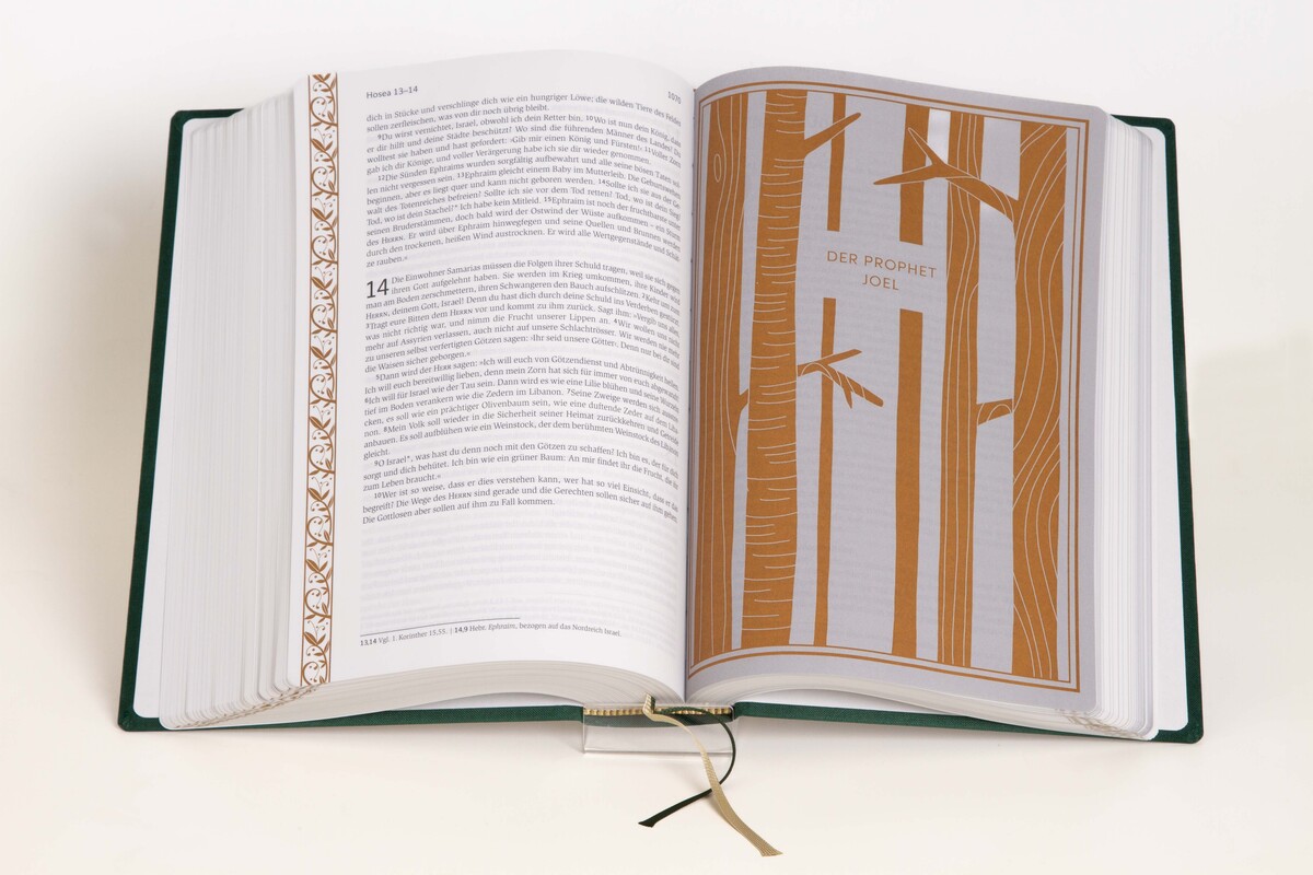 Neues Leben. Die Bibel - Gold/Waldgrün