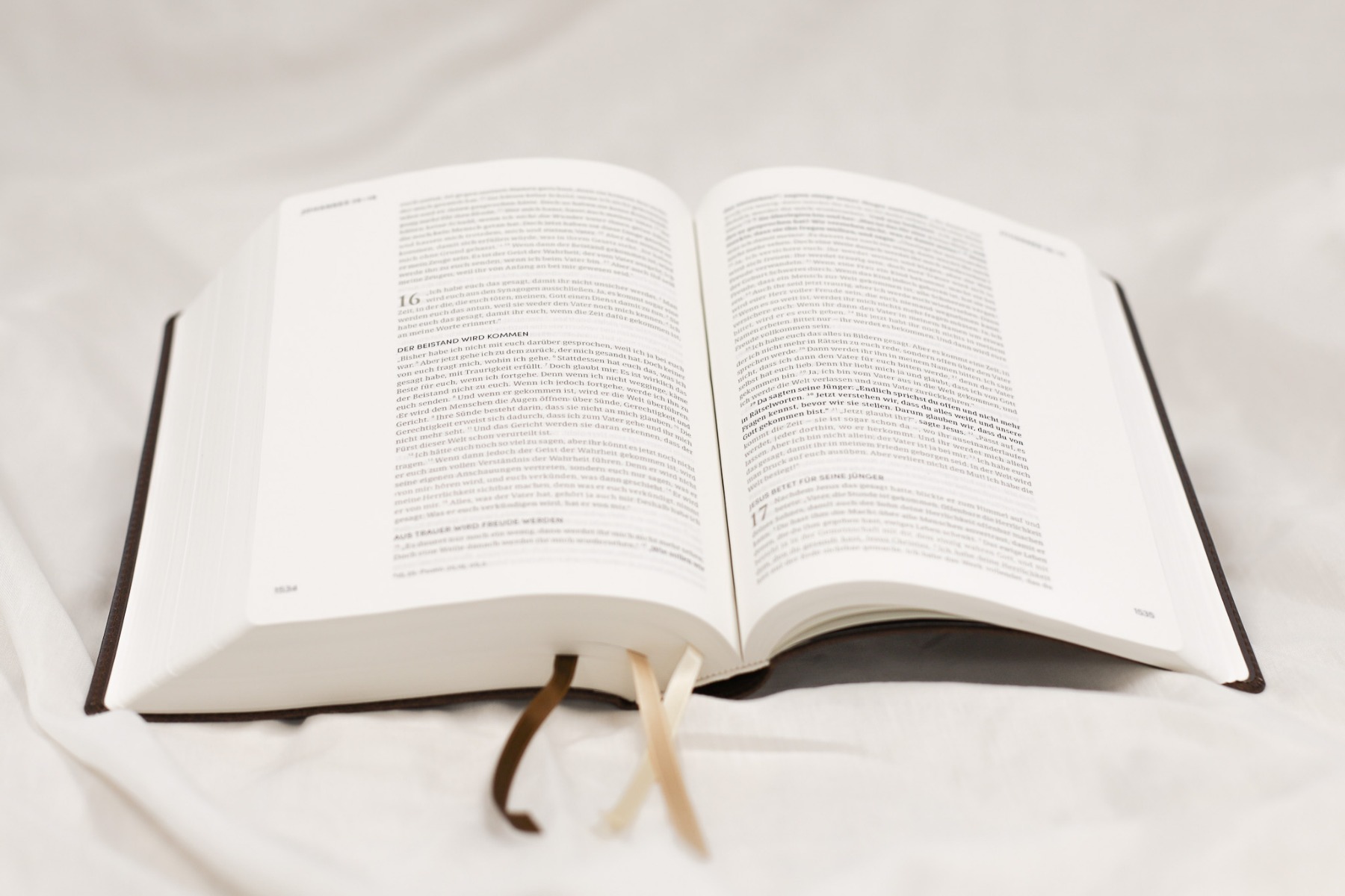 NeÜ bibel.heute LIEBEZURBIBEL (Schreibrandbibel braun)
