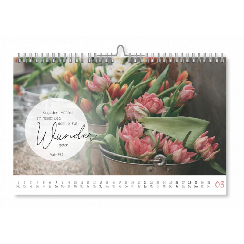At Home - Geborgen bei Gott 2027 - Postkartenkalender