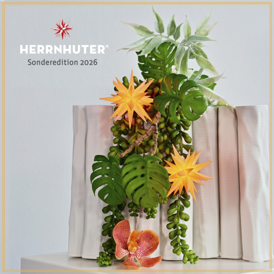 Herrnhuter Miniaturstern apricot - Sonderedition 2026