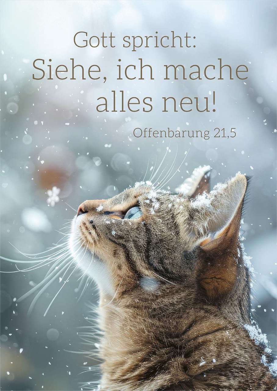 Poster A2 'Gott spricht: Siehe, ich mache alles neu! Offenbarung 21,5