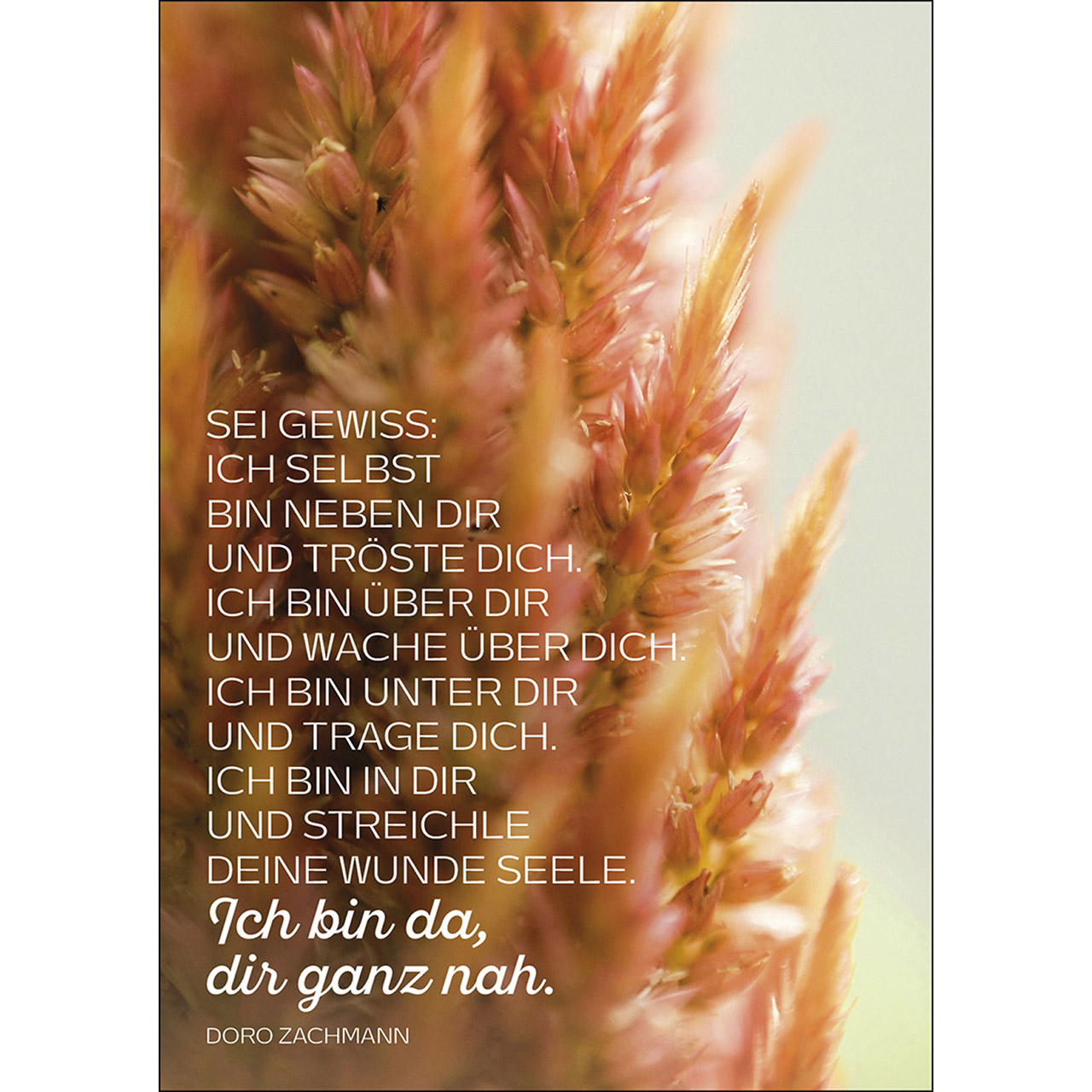 Postkarte 'Sei gewiss' 12 Ex.