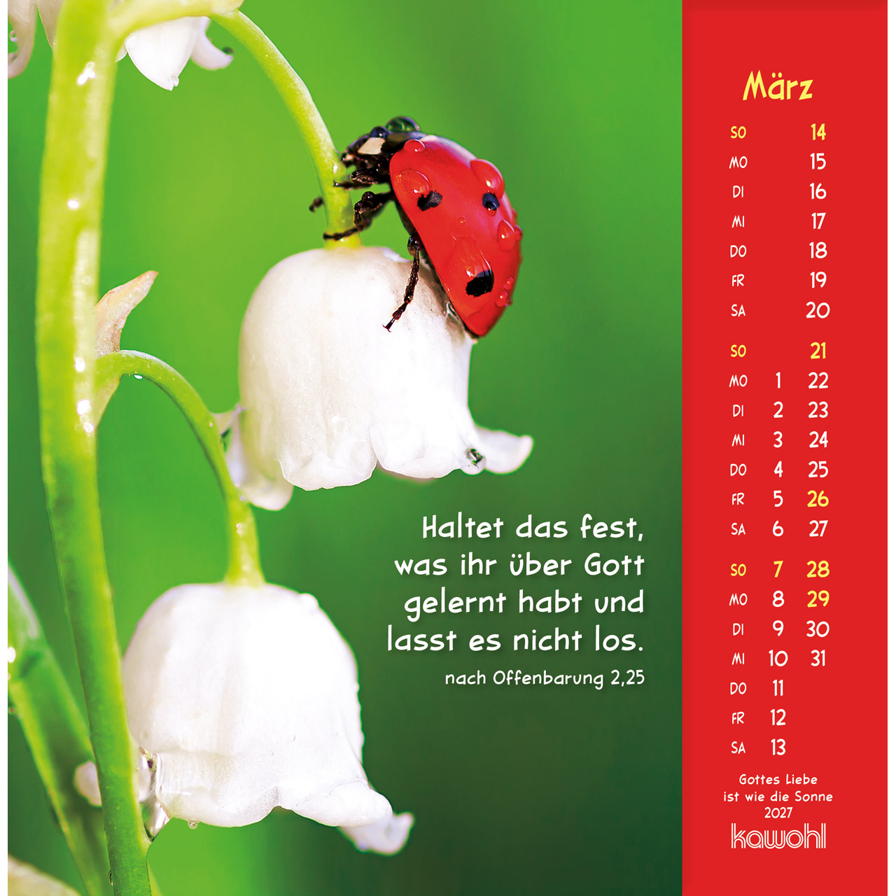 Gottes Liebe ist wie die Sonne 2027 - Postkartenkalender