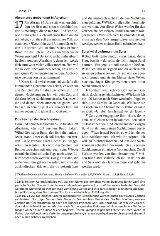 Die Bibel für die zweite Chance