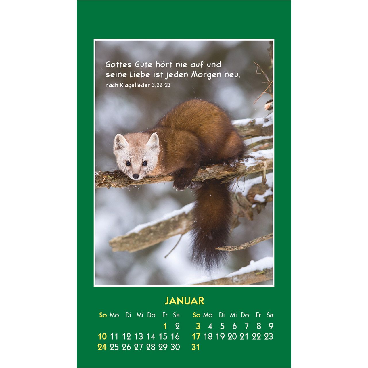 Hallo Du 2027 - Aufkleber-Kalender