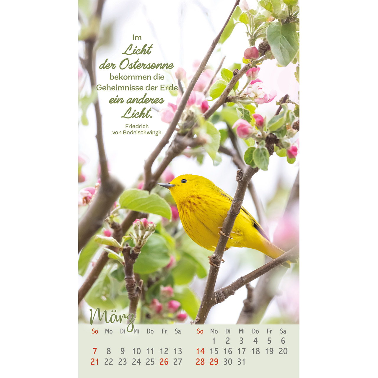 Beflügelt und geborgen 2027 - Postkartenkalender