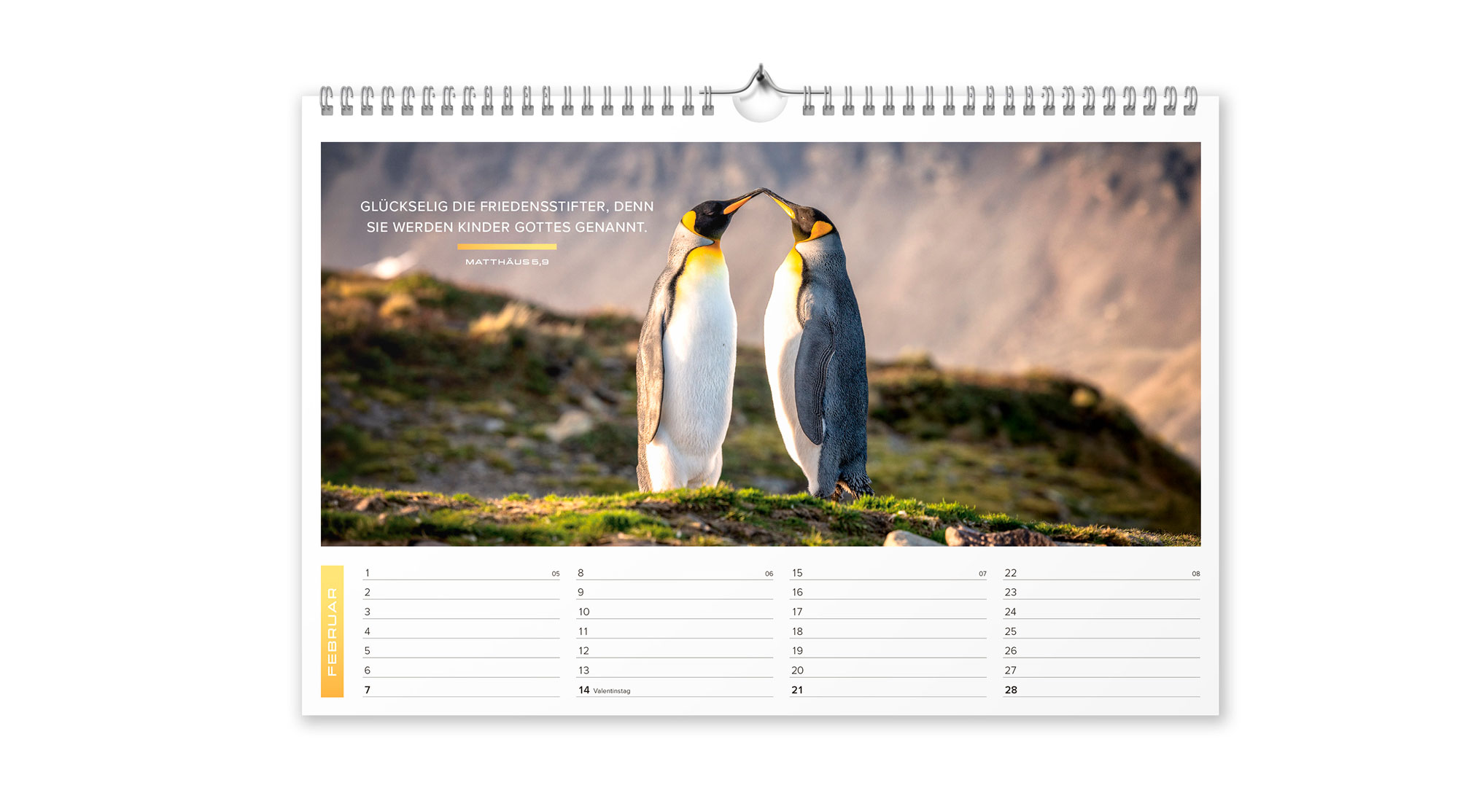 Life is more 2027 - Wandkalender Mittelgroß