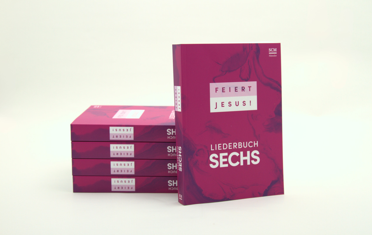 Feiert Jesus! 6 (Paperback)