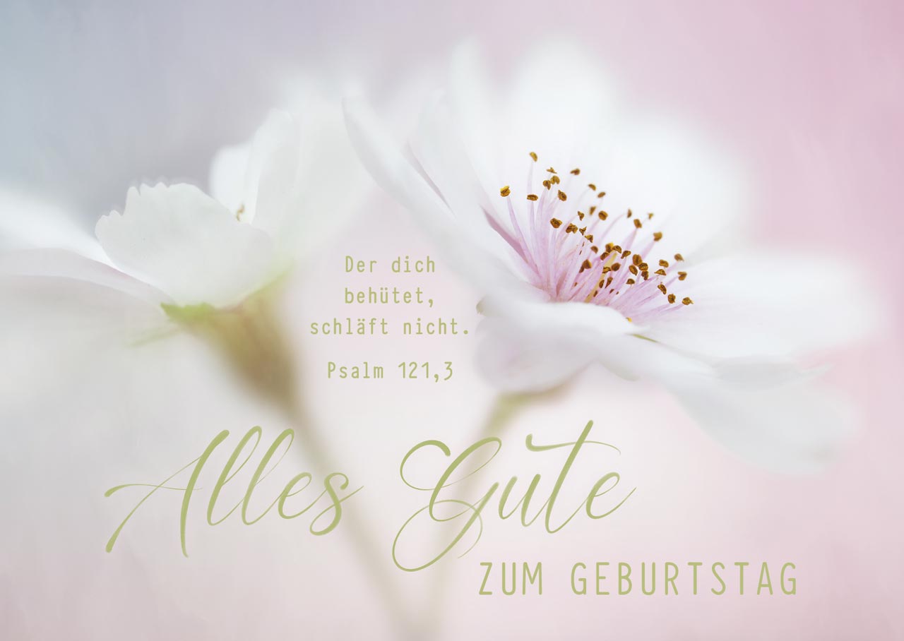 Postkarte Alles Gute zum Geburtstag (12 Ex.)