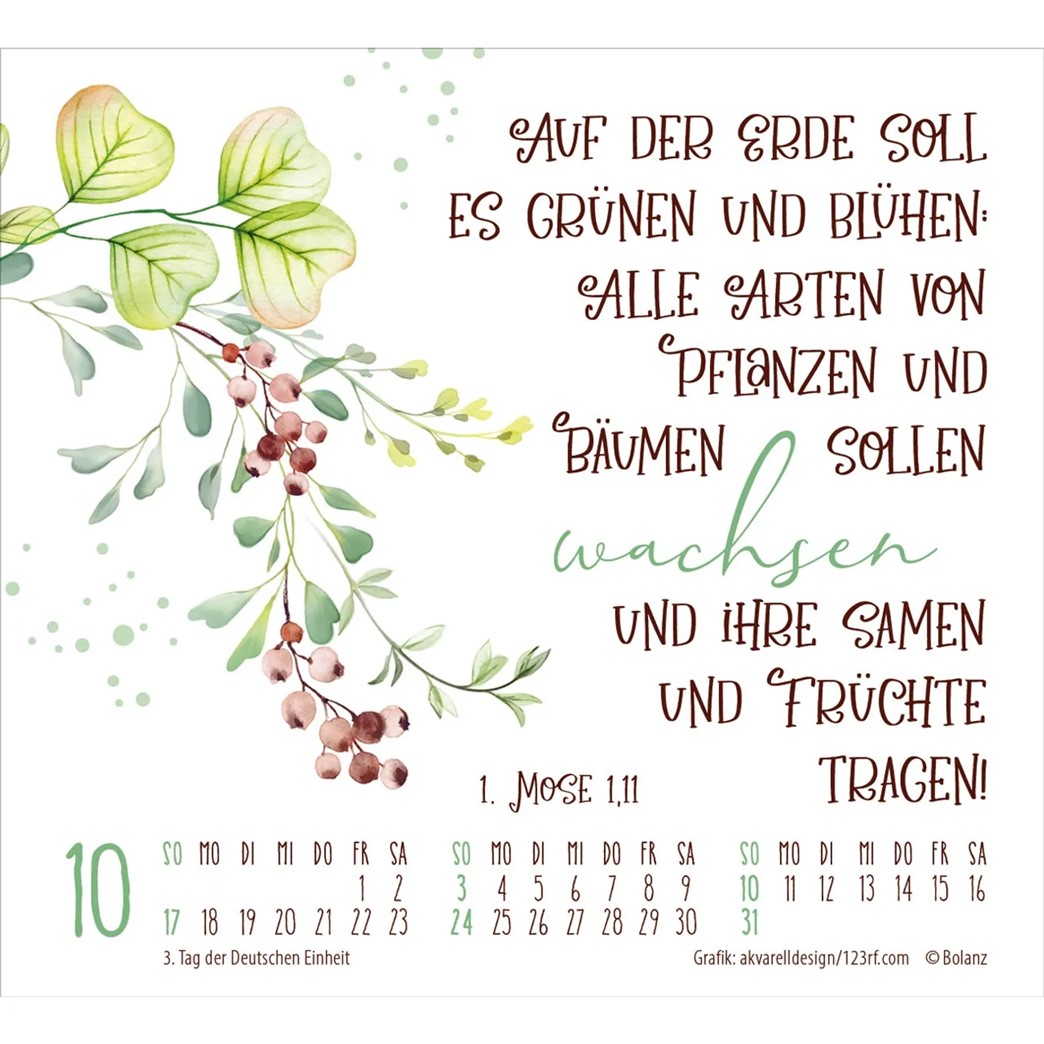 Geschützt in seiner Hand 2027 - Minikalender