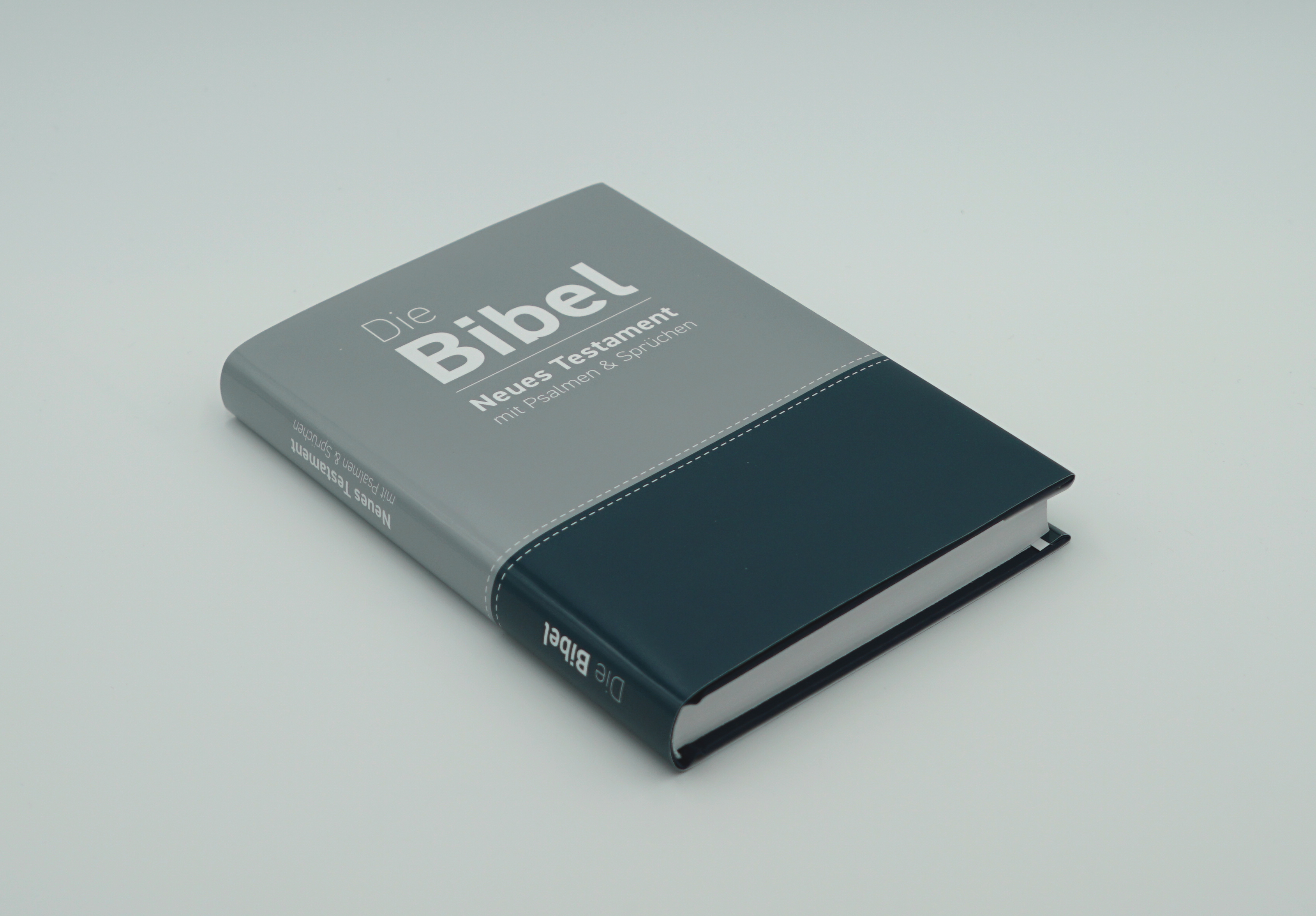 Luther.heute Bibel (Großdruckausgabe)