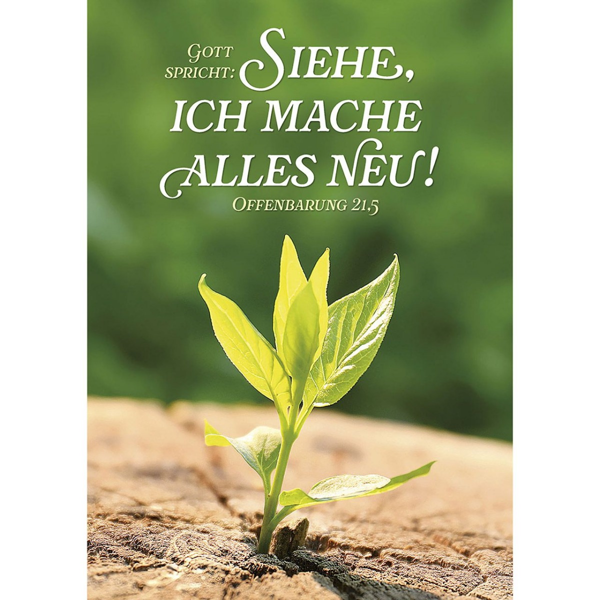Postkarten 12 Karten im Set