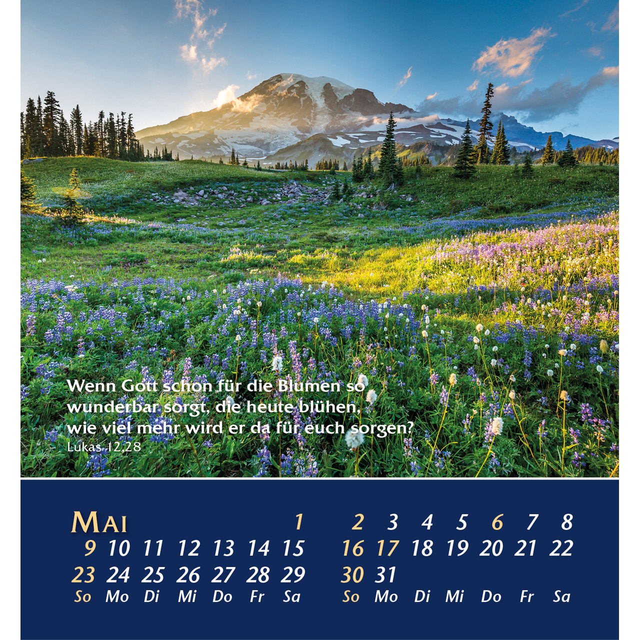 Aus der Stille leben 2027 - Aufstellkalender