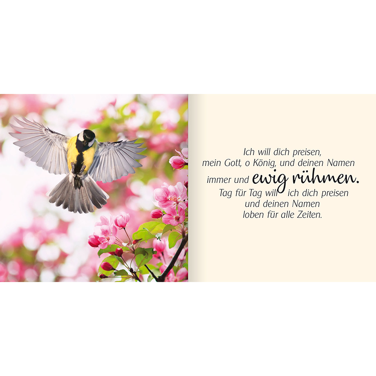 Ich schenke dir Psalm 145