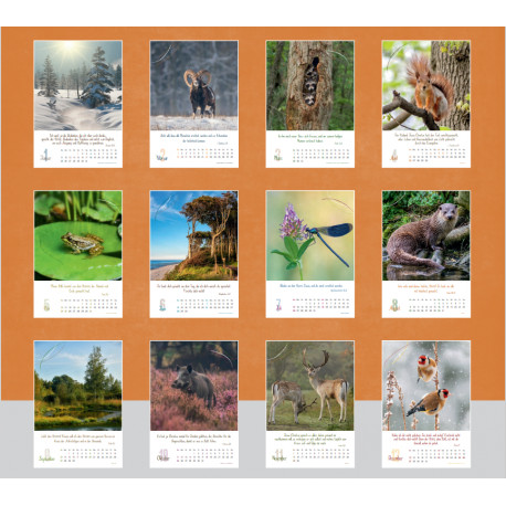 Natur 2026 - Wandkalender
