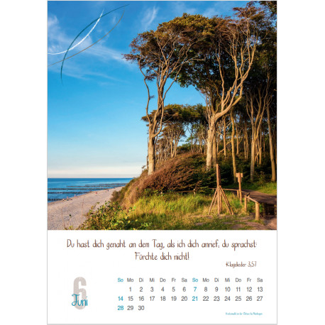 Natur 2026 - Wandkalender