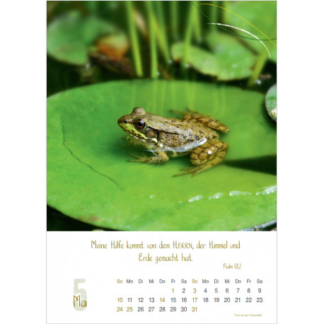 Natur 2026 - Wandkalender