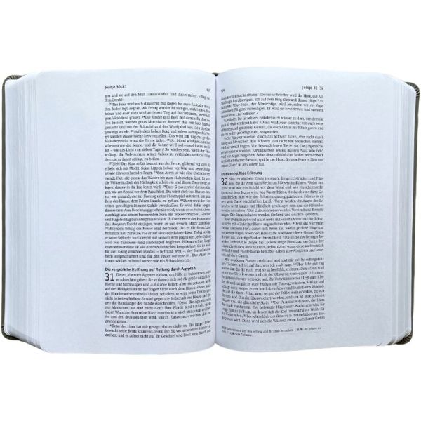 Neues Leben. Die Bibel mit Schreibrand