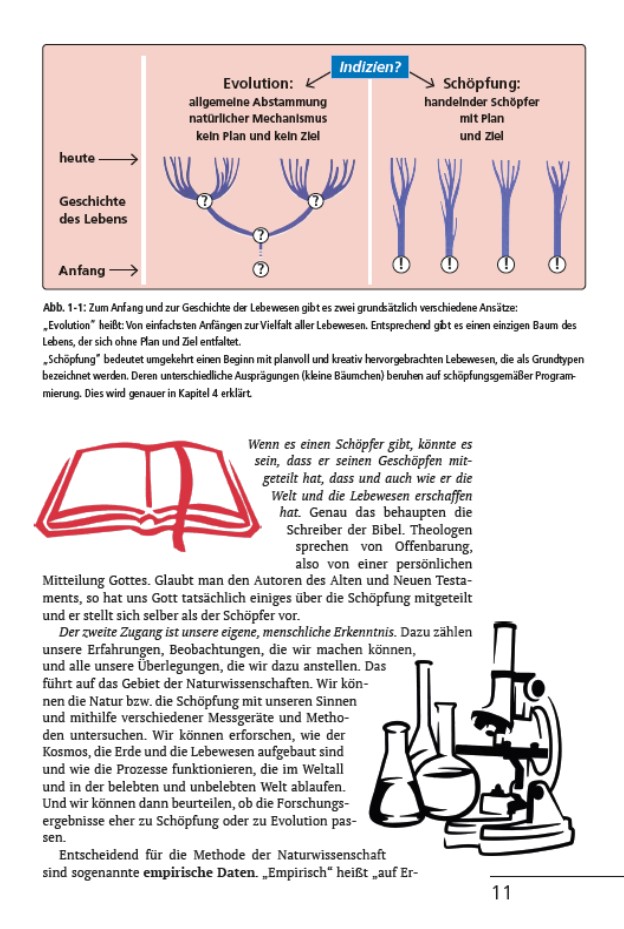 Schöpfung oder Evolution