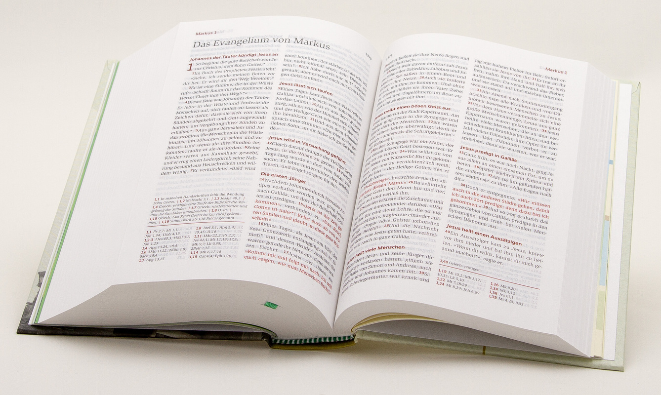 Neues Leben. Die Bibel für Teens