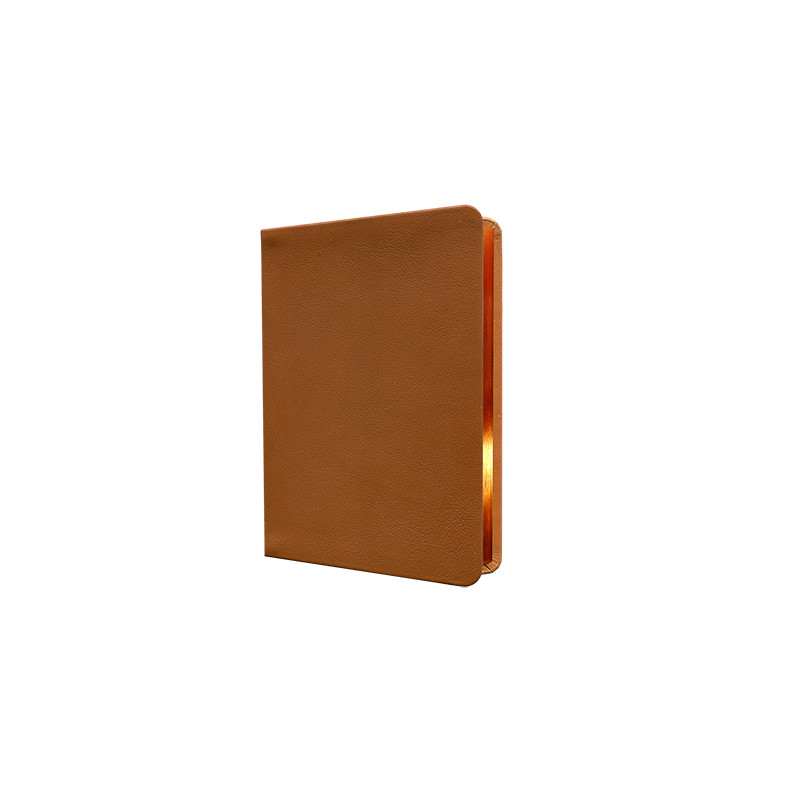 Schreibrandbibel, kleinere Ausgabe, Rindleder, hellbraun, Rotgoldschnitt