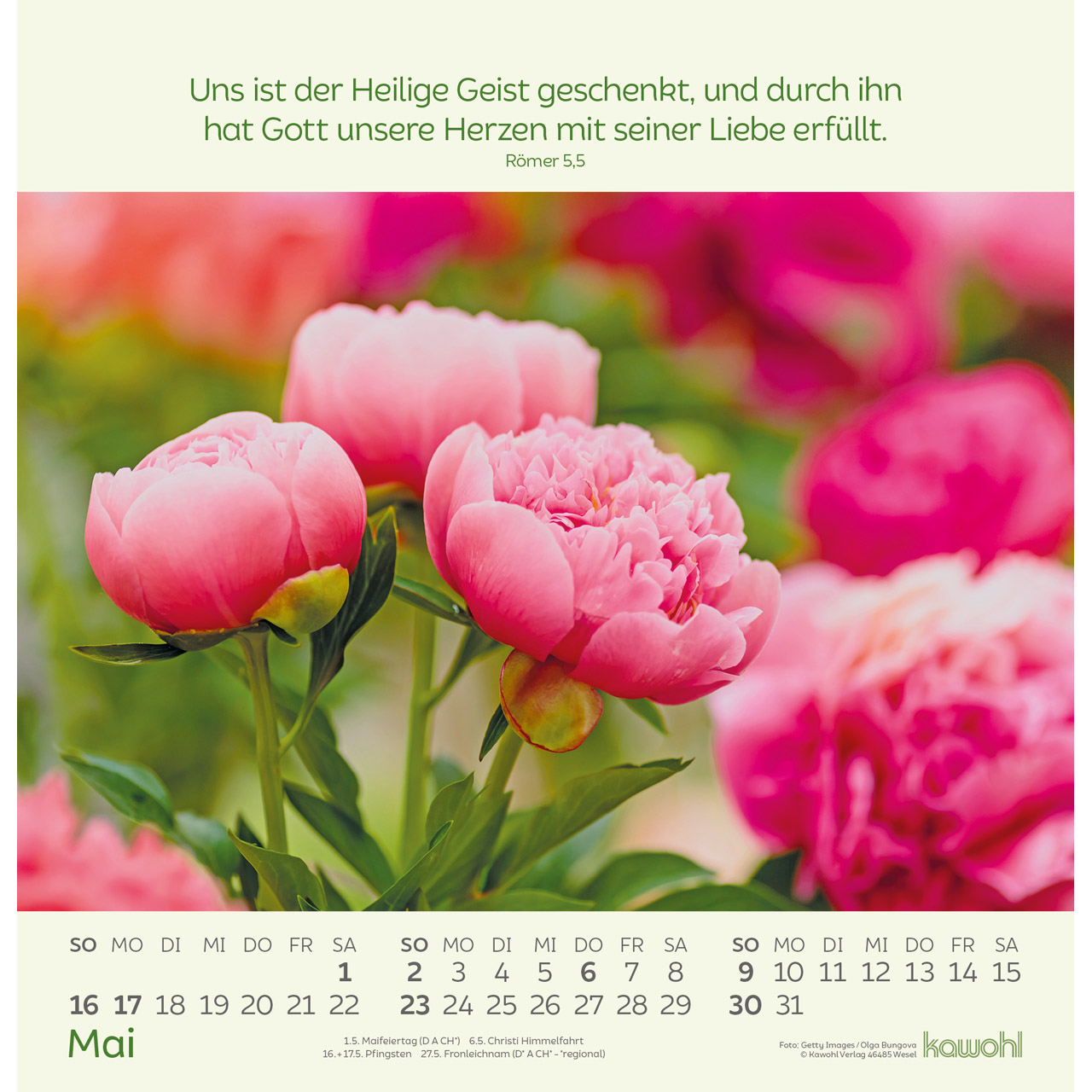 Blumengrüße 2027 - Wandkalender