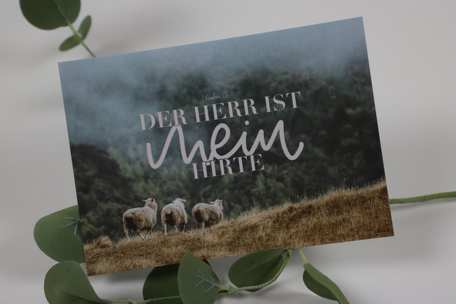 Postkarte - Der Herr ist mein Hirte (Einzelkarte)