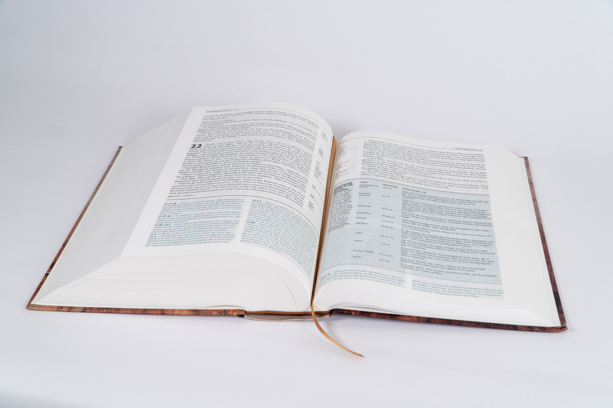 Begegnung fürs Leben, Motiv 'Buch'