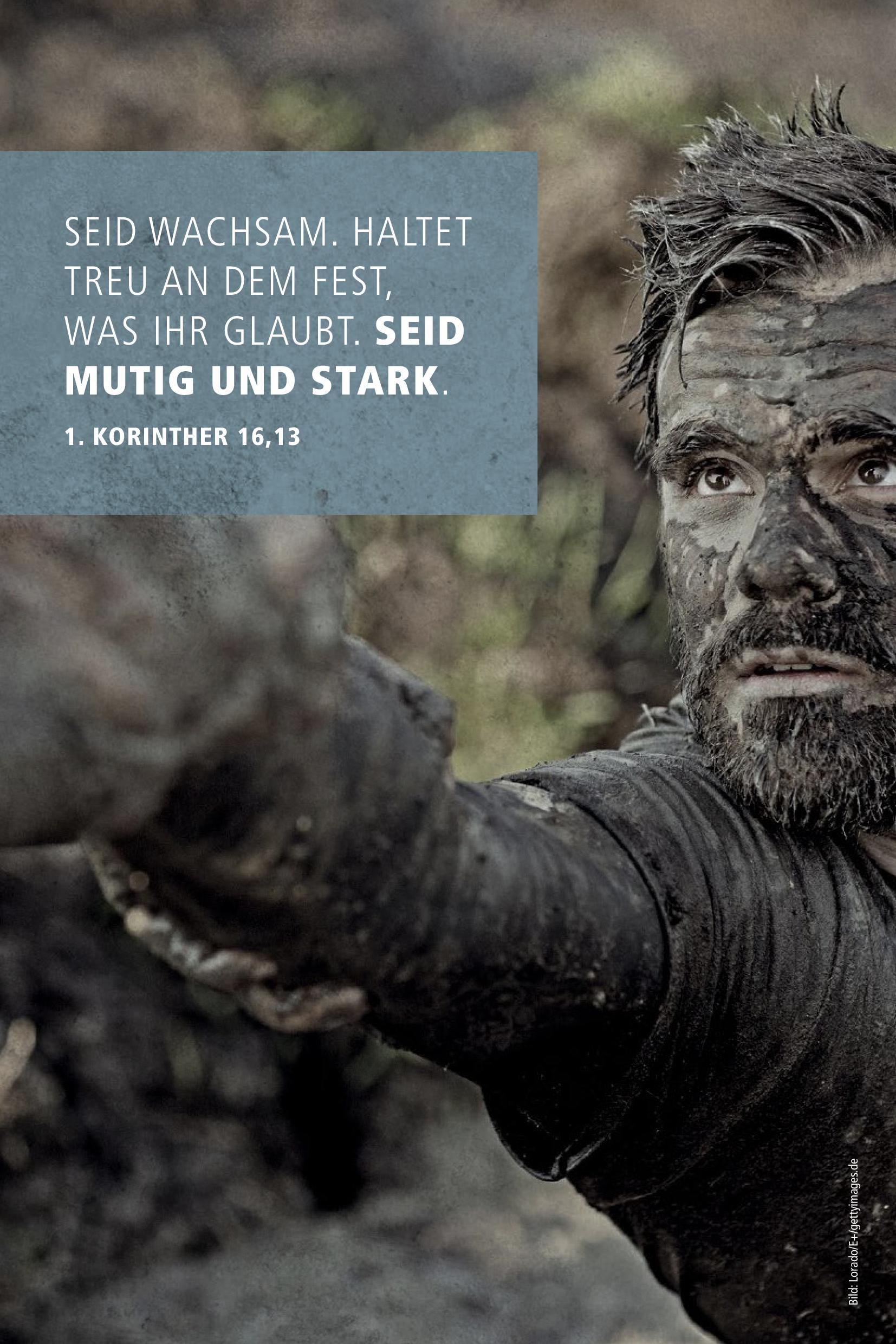 Neues Leben. Die Bibel 'Mutig und stark'