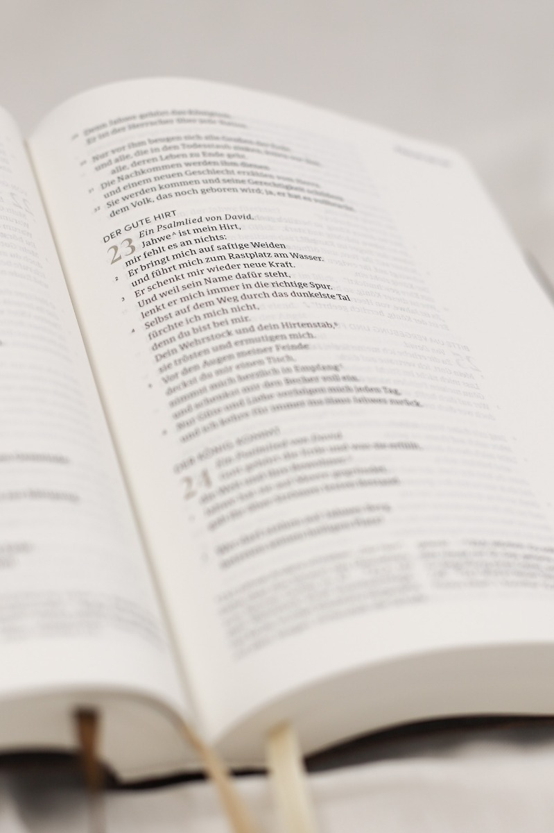 NeÜ bibel.heute LIEBEZURBIBEL (Schreibrandbibel braun)