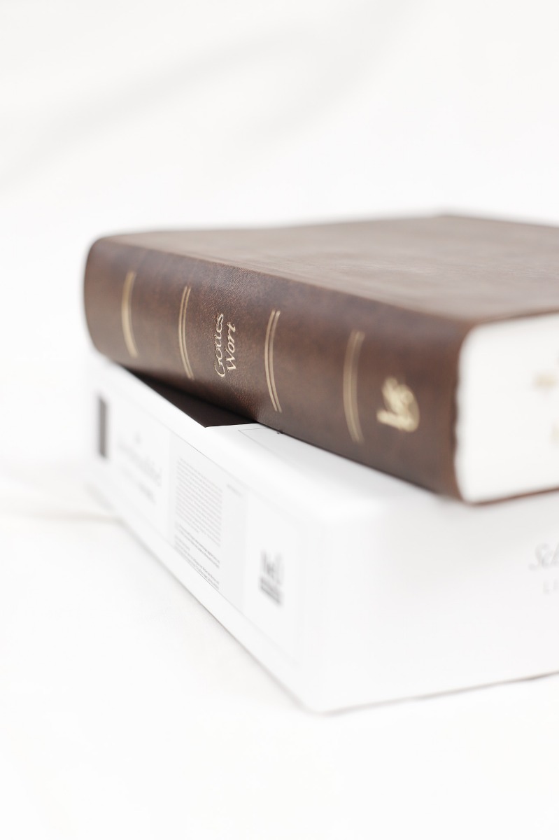 NeÜ bibel.heute LIEBEZURBIBEL (Schreibrandbibel braun)