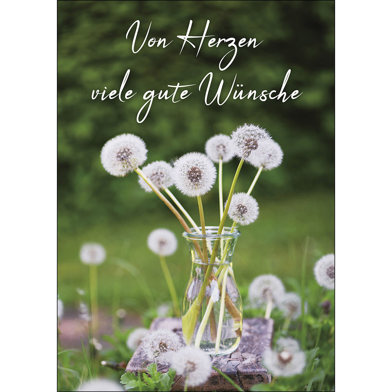 Postkarte 'Von Herzen viele gute Wünsche' 12 Ex.