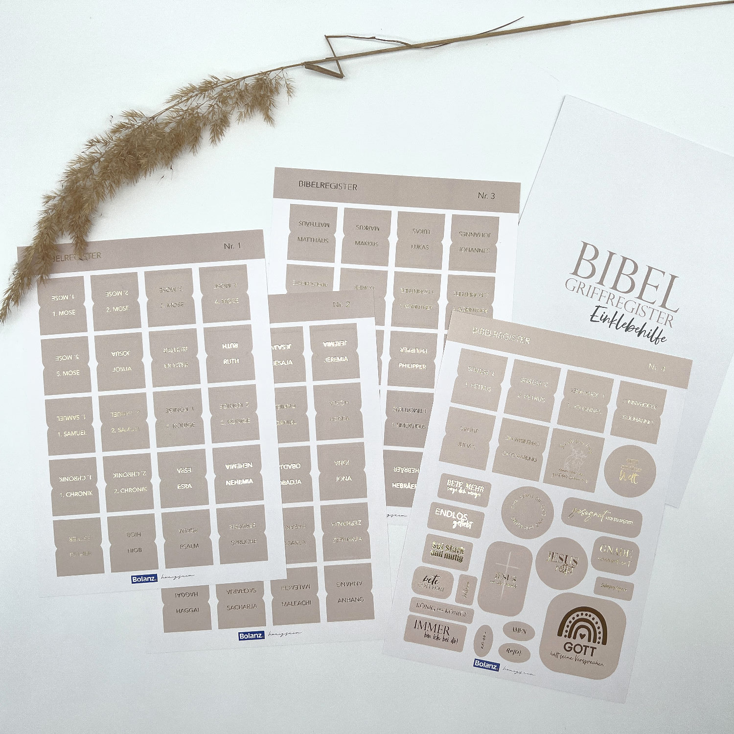 Bibel-Griffregister Cremefarben mit Goldveredelung