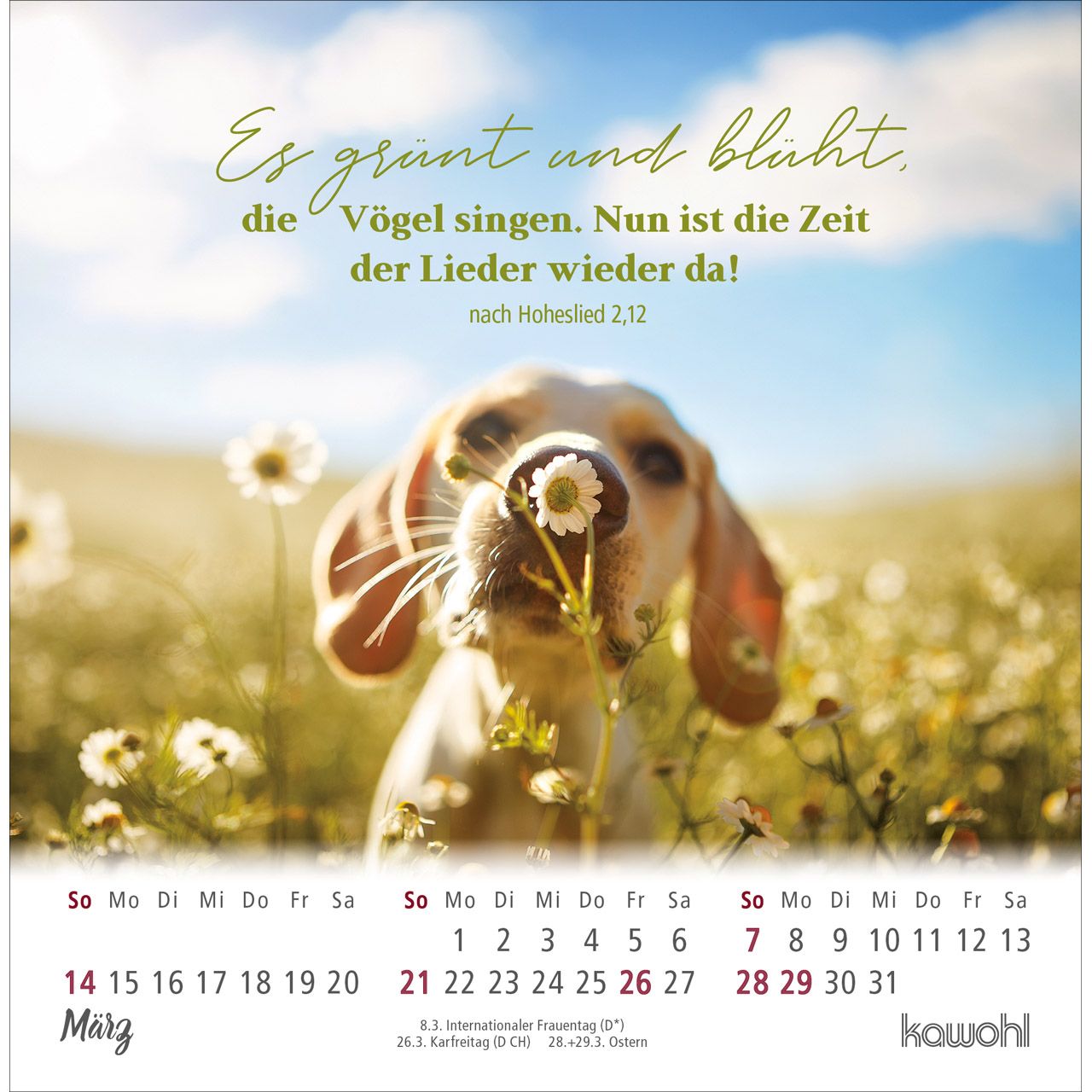 Ankommen & leben 2027 - Postkartenkalender