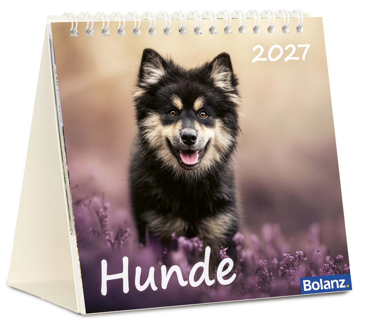 Hunde 2027 - Tischkalender