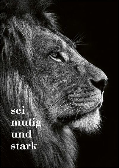 Gottes Segen - Postkartenset