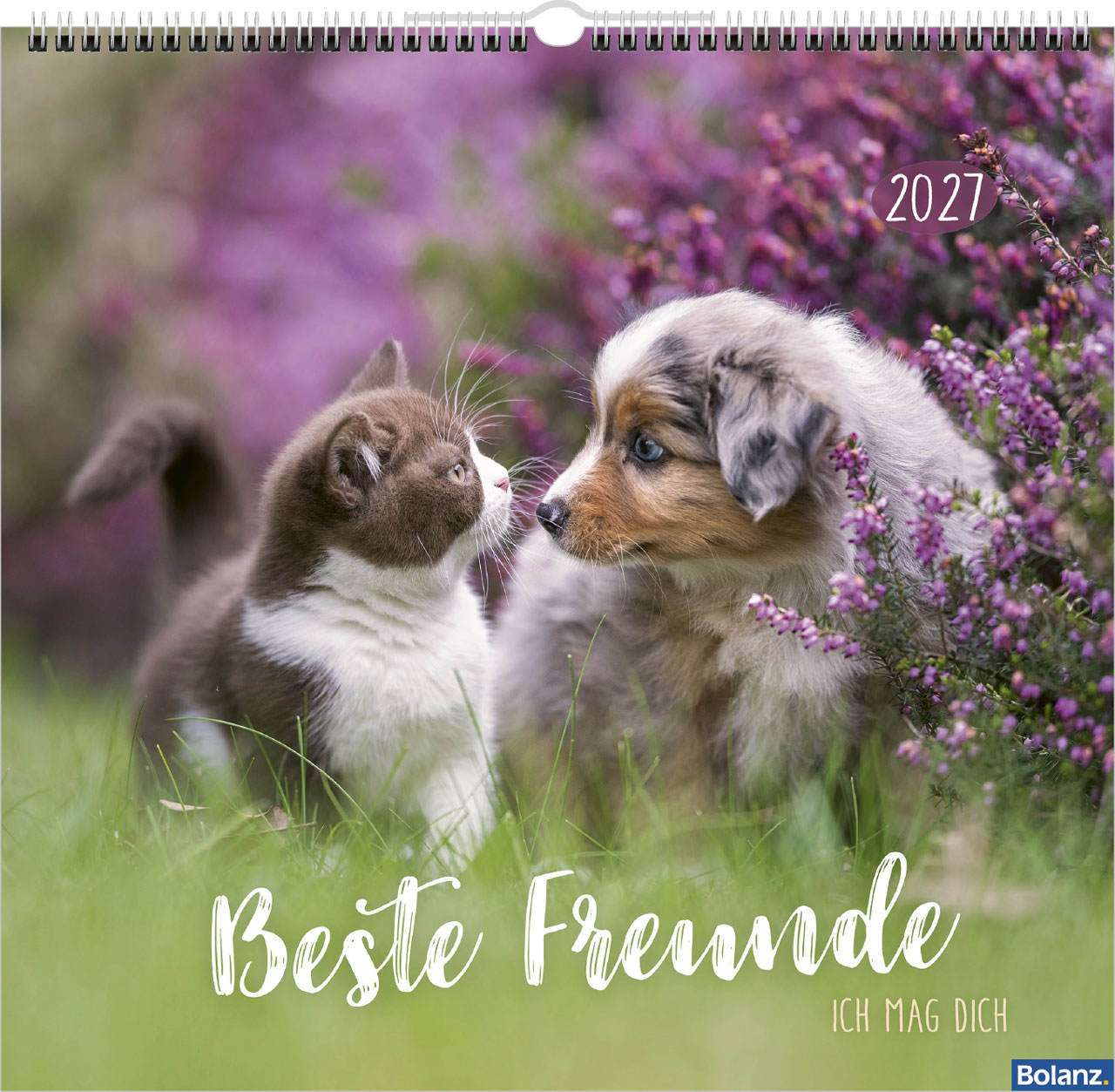Beste Freunde 2027 Ich mag dich