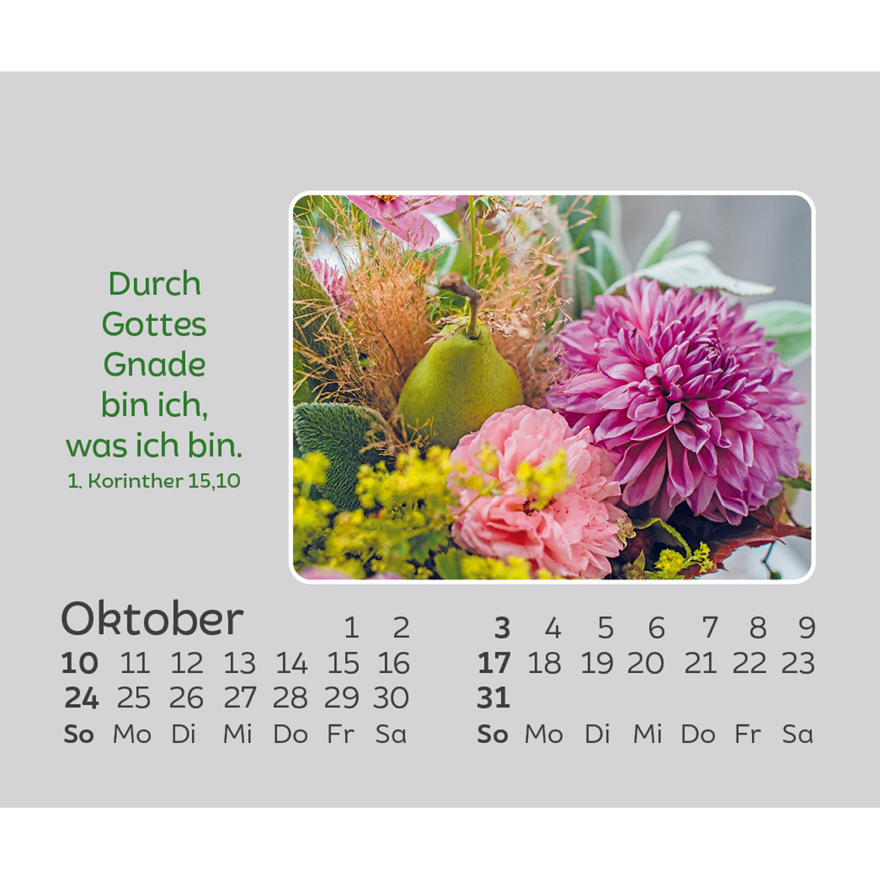 Freude für jeden Tag 2027 - Mini-Aufstellkalender