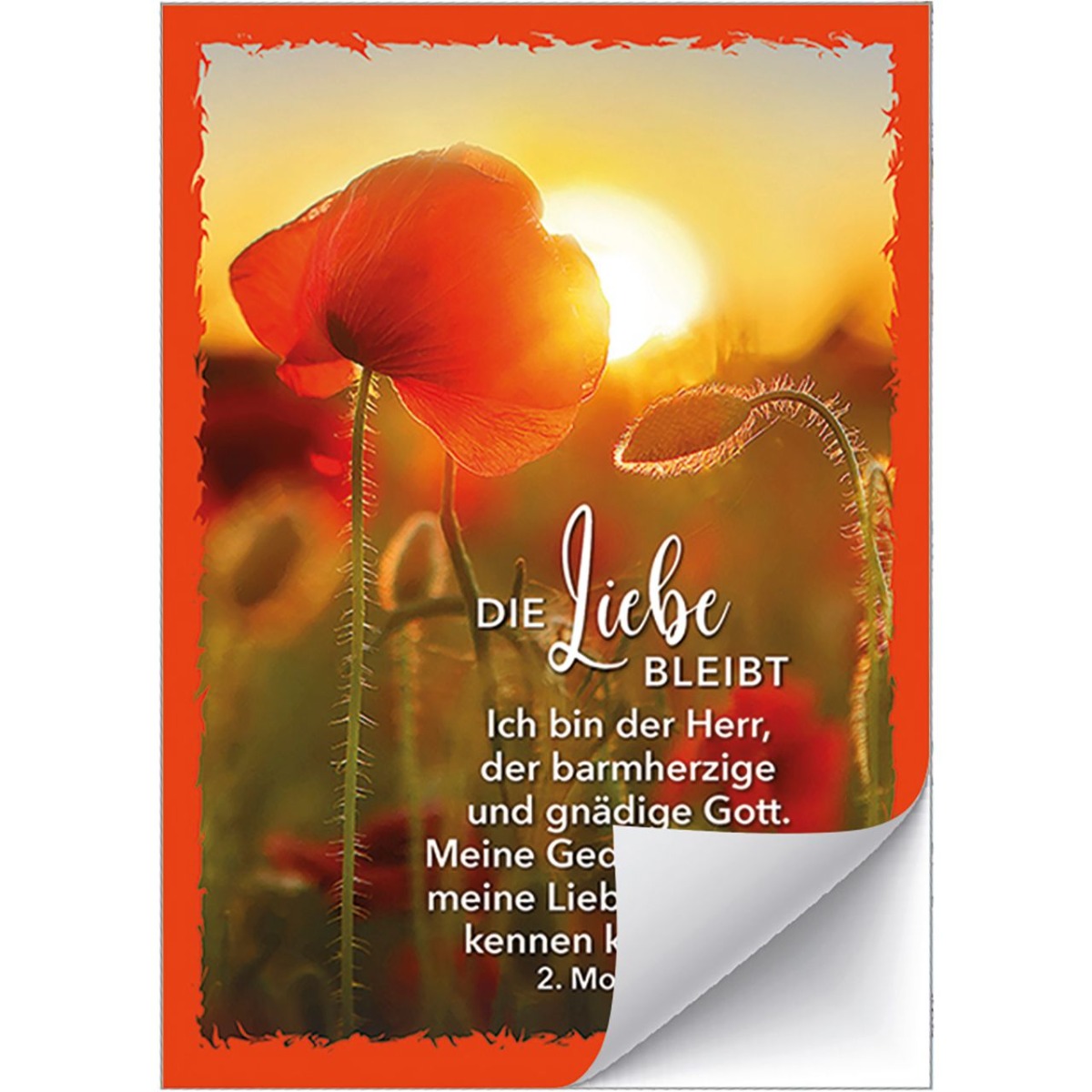 Aufkleber-Grußkarte 12 Ex.- Die Liebe bleibt
