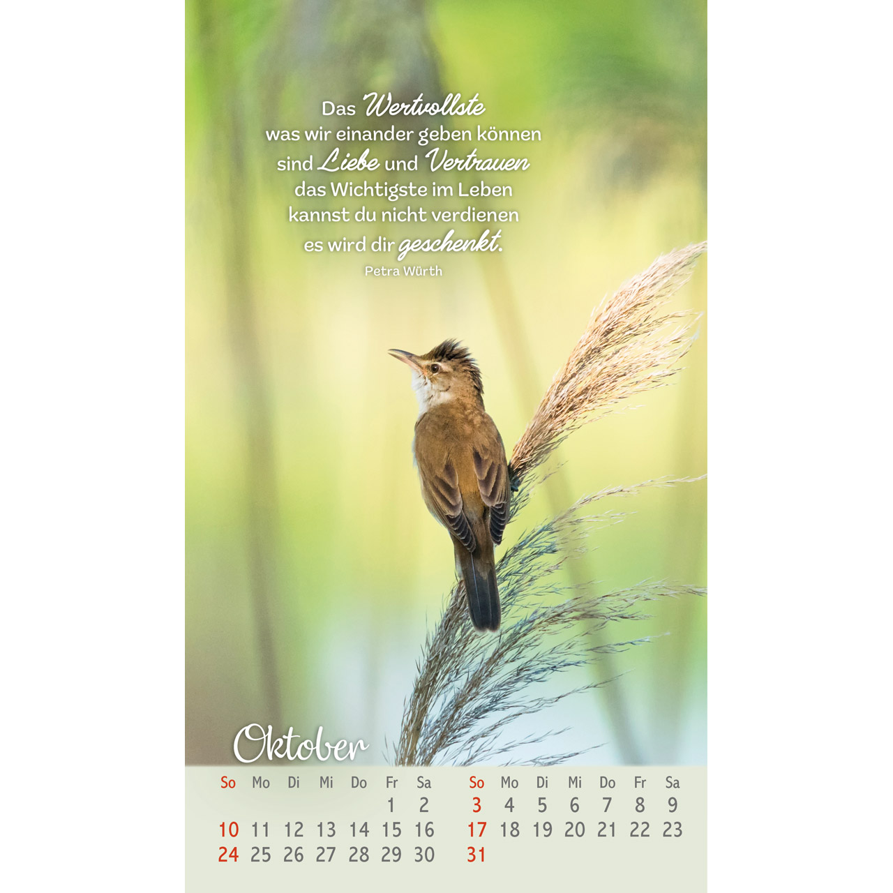 Beflügelt und geborgen 2027 - Postkartenkalender