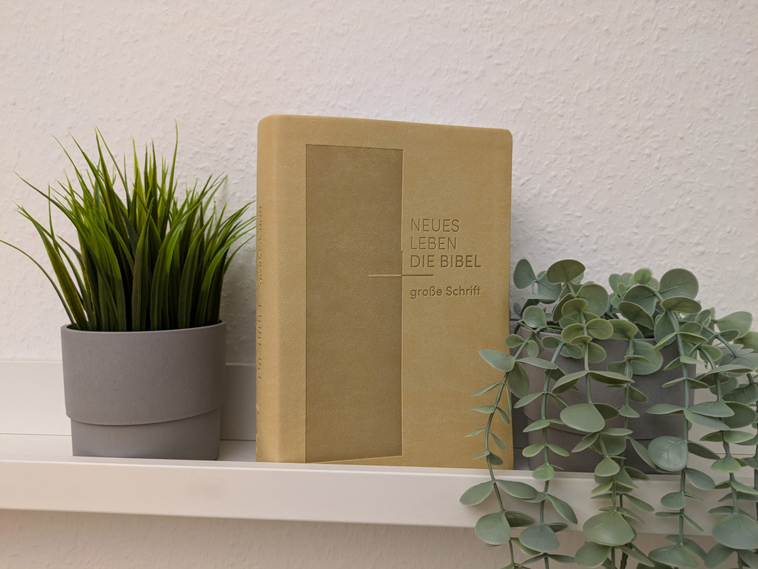 Neues Leben. Die Bibel. Große Schrift, Kunstleder