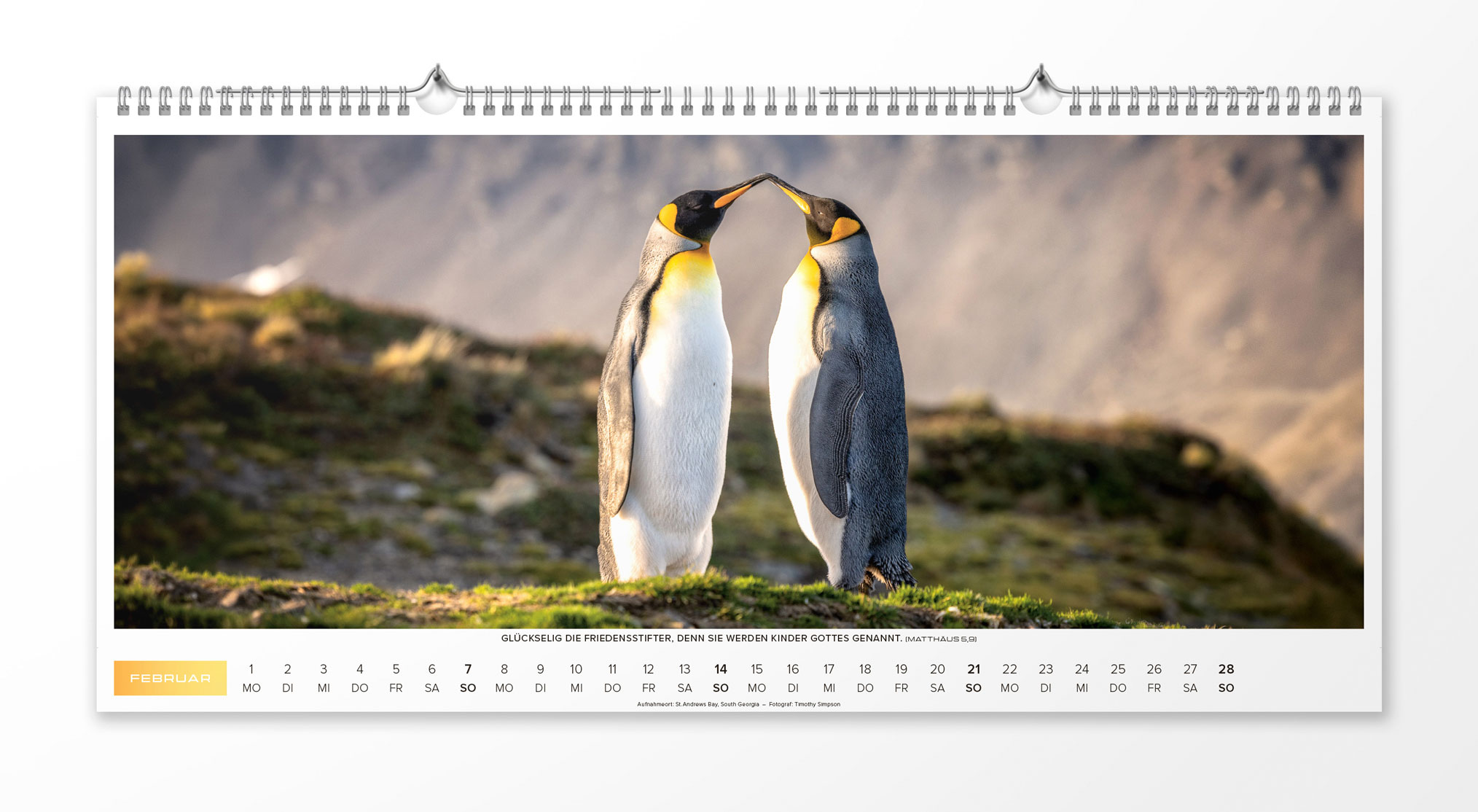 Life is more 2027 - Wandkalender XL
