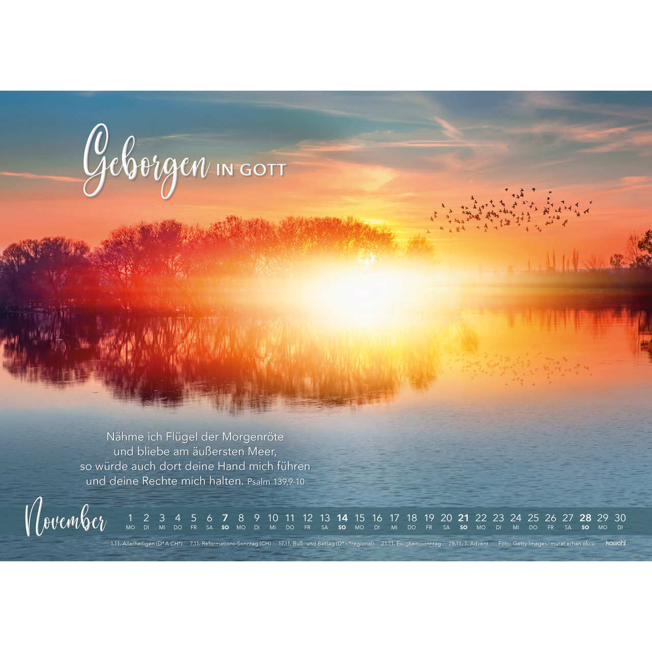 Die Liebe bleibt 2027 - Wandkalender
