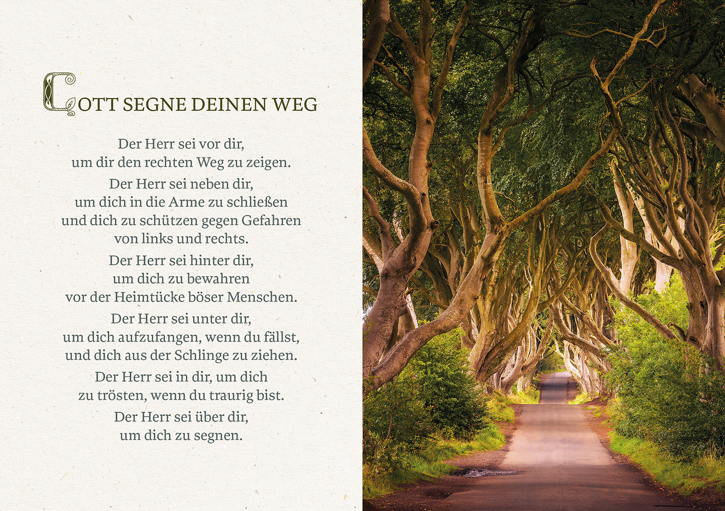 Gott segne den Weg, auf dem du gehst