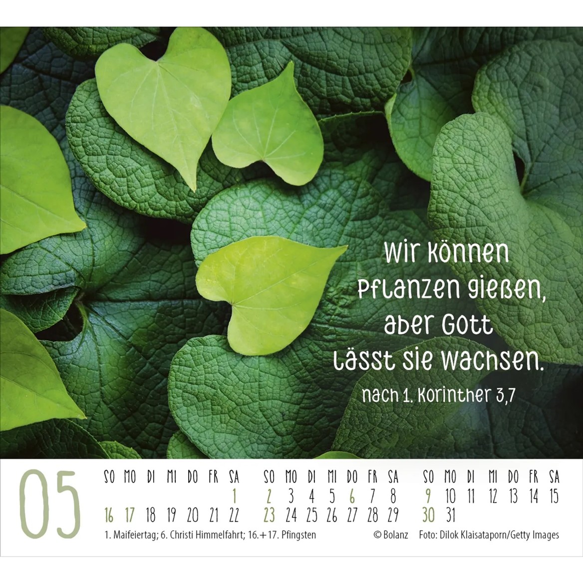 Danke 2027 - Minikalender